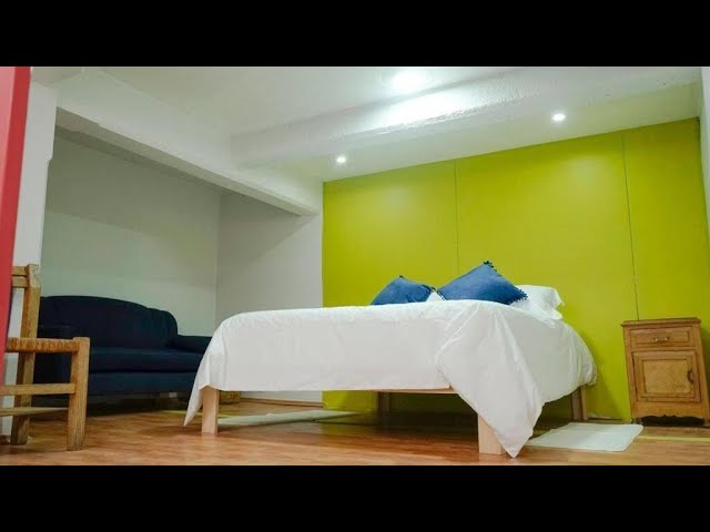 Pet-Friendly Rentals in Mexico City’s Condesa