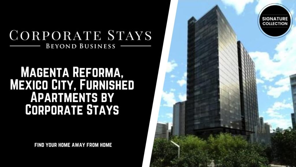 Two-Bedroom Apartments for Rent in Mexico City’s Napoles