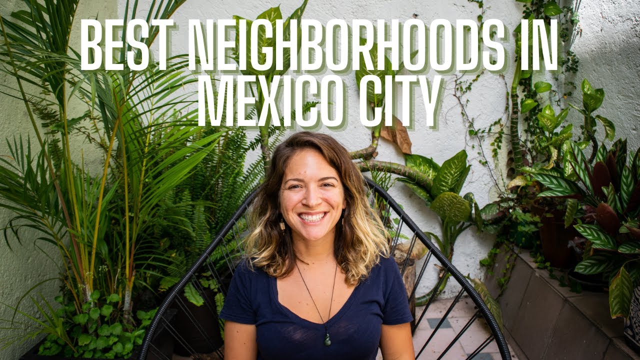 Yearly Apartment Leases in Mexico City’s San Miguel Chapultepec