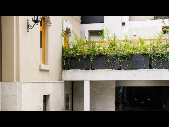 Comfortable Apartments for Retirees in Mexico City’s Roma Norte