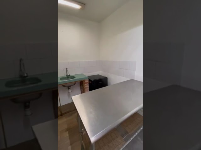 One-Bedroom Apartments in Mexico City’s Napoles