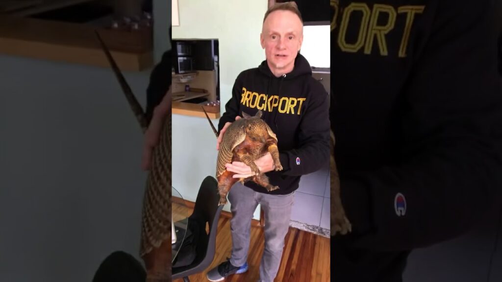 Top Apartments for Couples in Mexico City’s Roma Norte