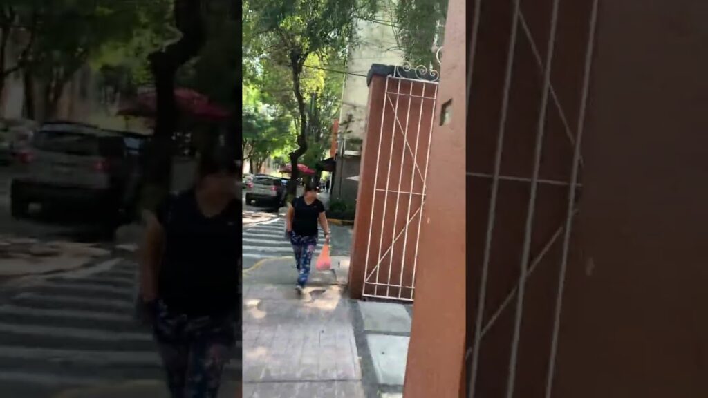 Studios for Rent in Mexico City’s San Miguel Chapultepec