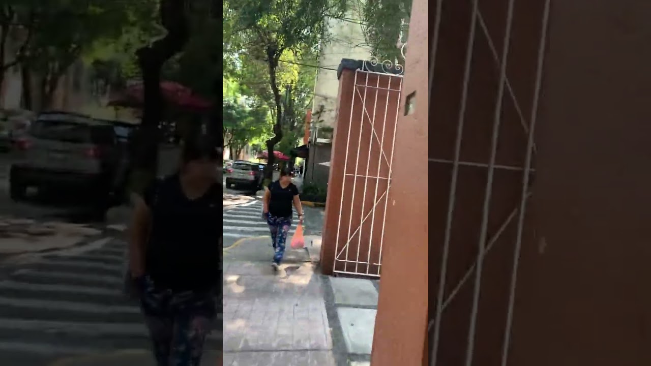 Studios for Rent in Mexico City’s San Miguel Chapultepec