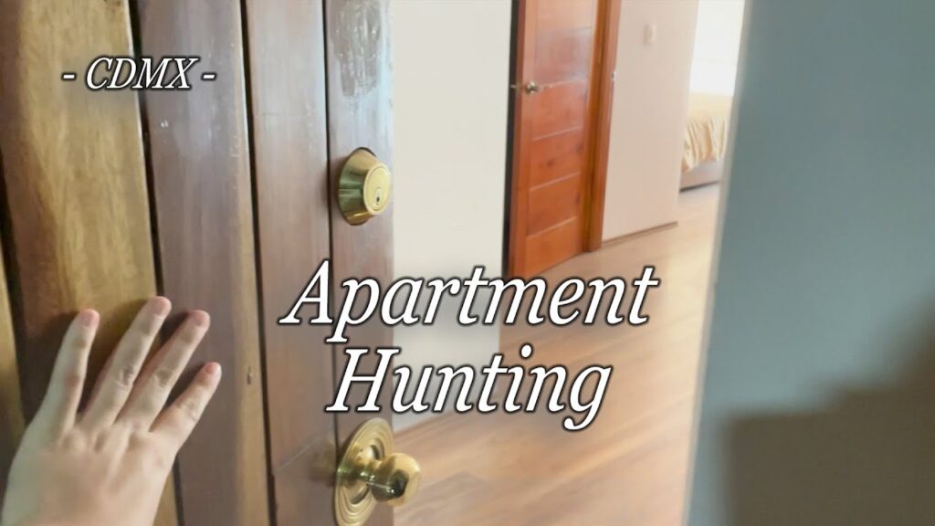 One-Bedroom Apartments in Mexico City’s Juarez