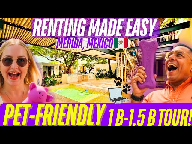 Pet-Friendly Rentals in Mexico City’s Juarez